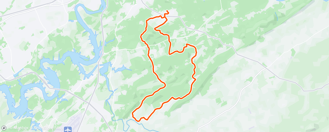 Map of the activity, Who let the dogs out
