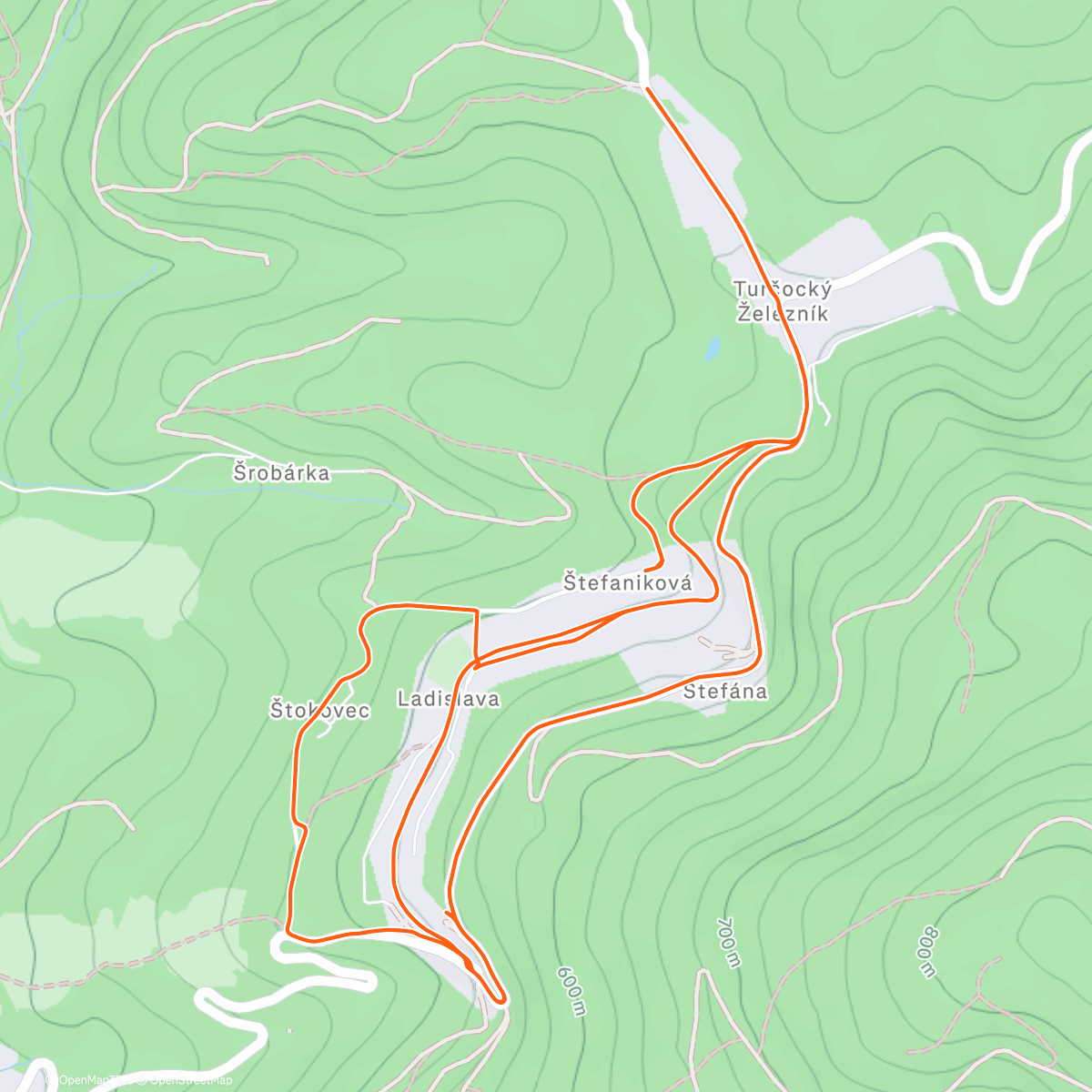 Map of the activity, Morning Run
