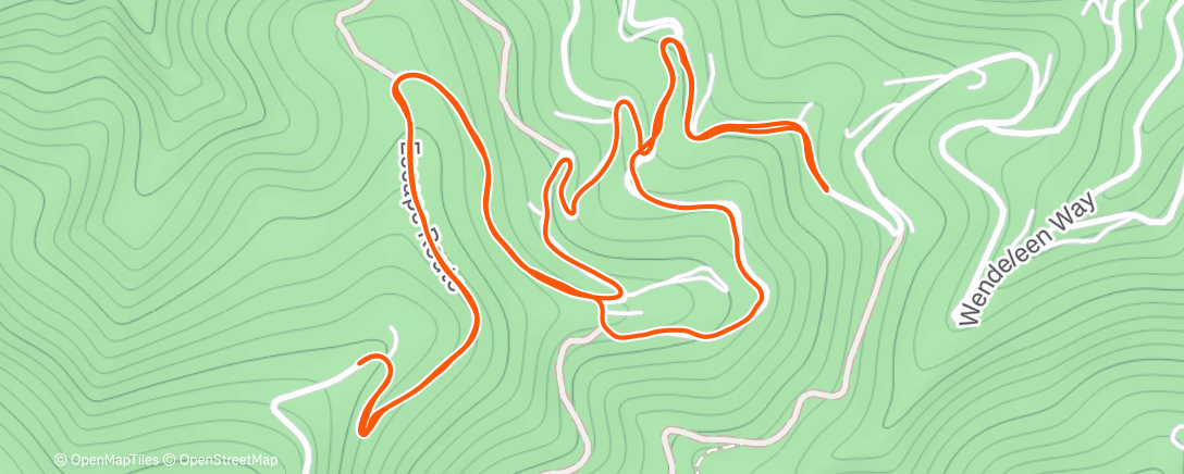 Карта физической активности (Neighborhood jog)