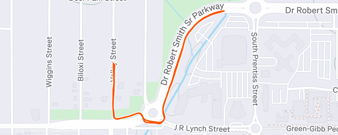 Карта физической активности (Merry Run)