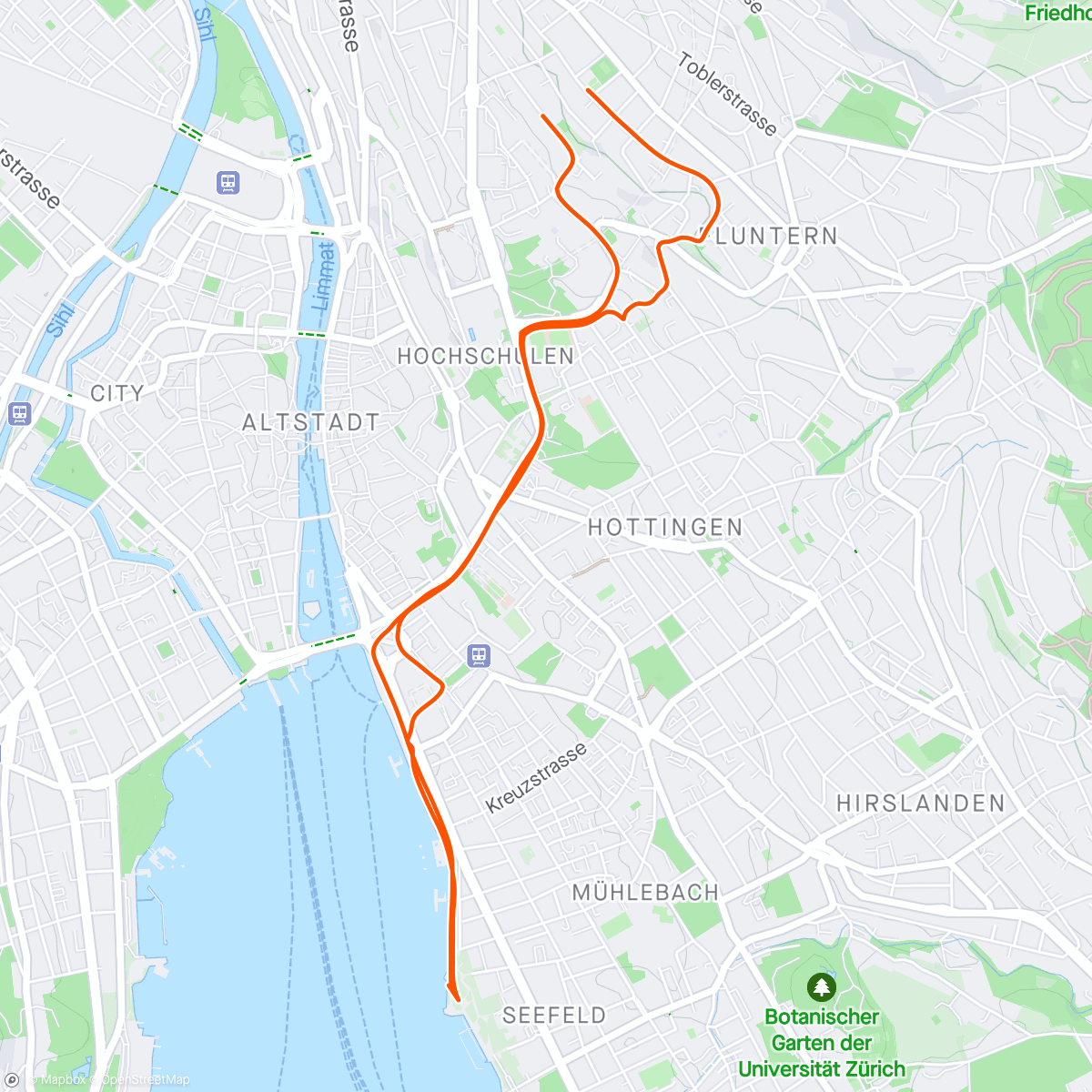 Map of the activity, Zürich run