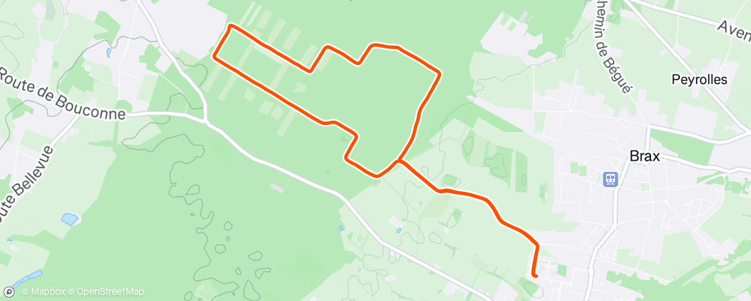 Map of the activity, Bouconne