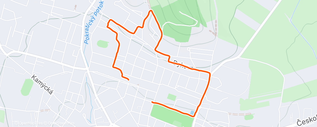 Map of the activity, Evening Run