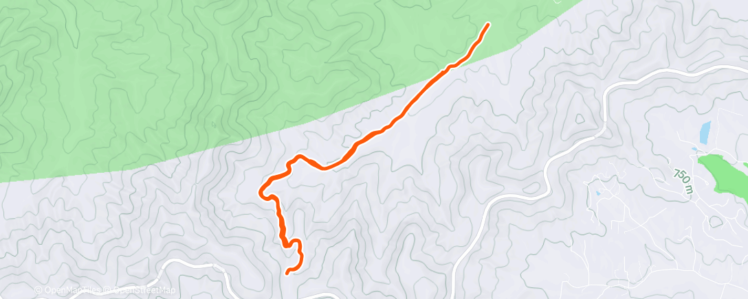 Карта физической активности (Morning Run)