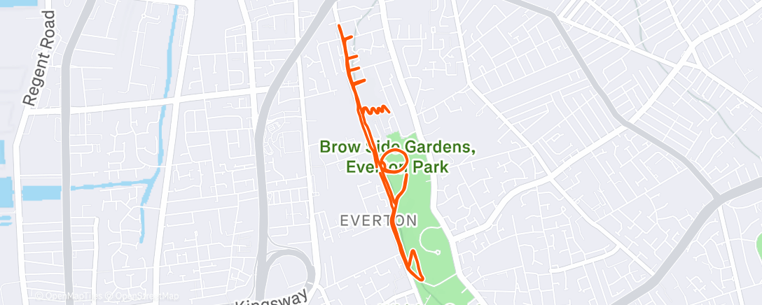 Map of the activity, Morning Run