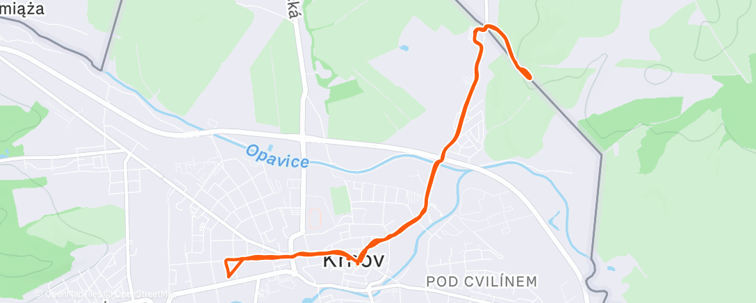 Карта физической активности (Morning Walk)