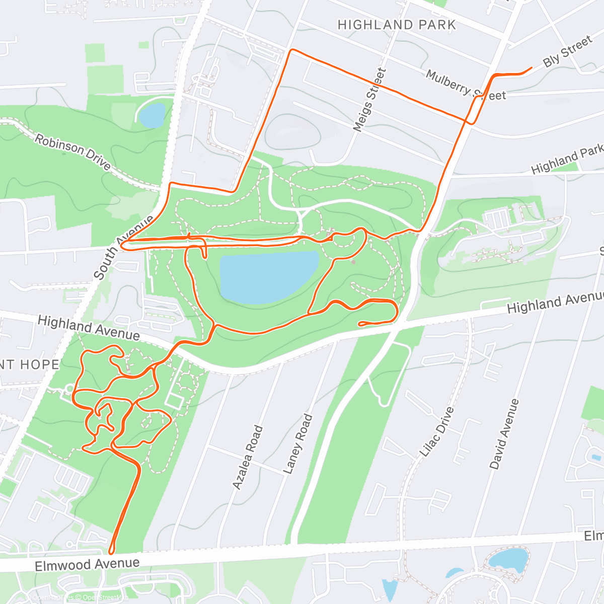 Map of the activity, Morning Park Run