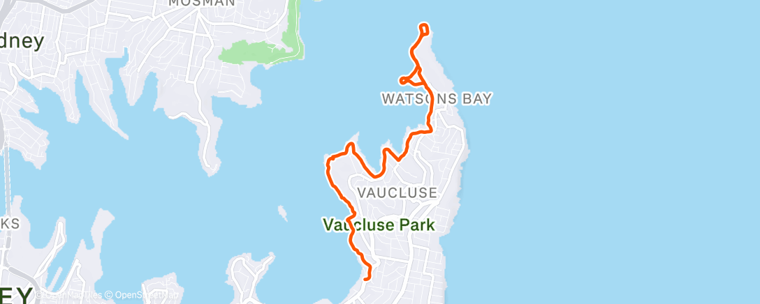 Карта физической активности (Morning Walk)