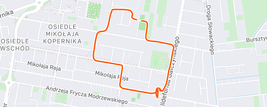 Карта физической активности (Morning Walk)