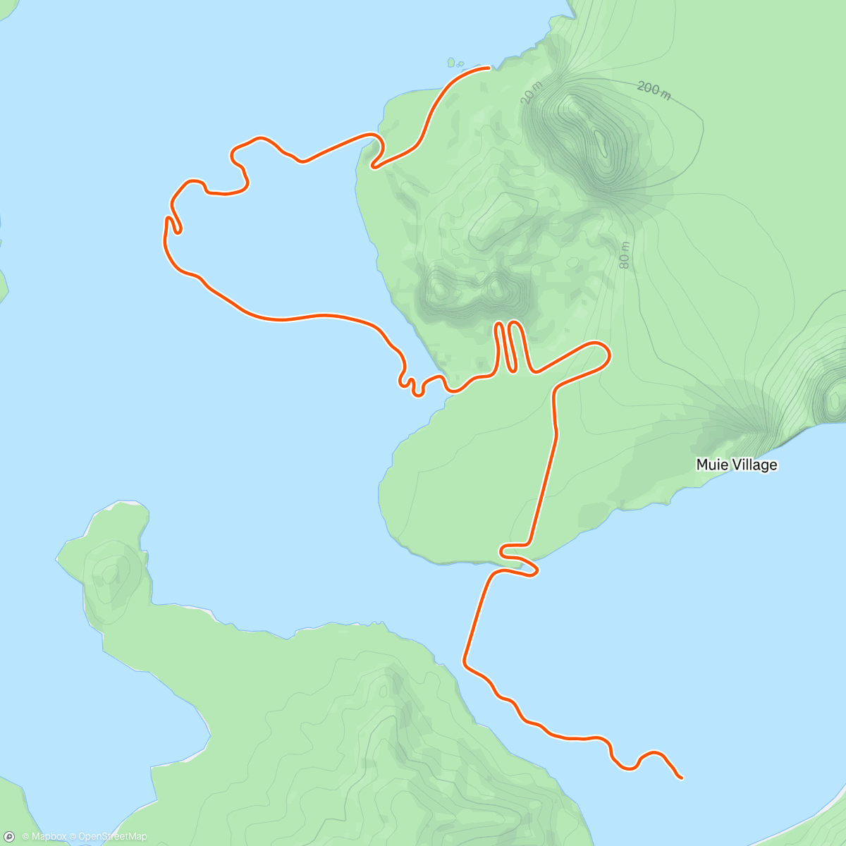 Map of the activity, Zwift - 45min Riders Choice in Watopia