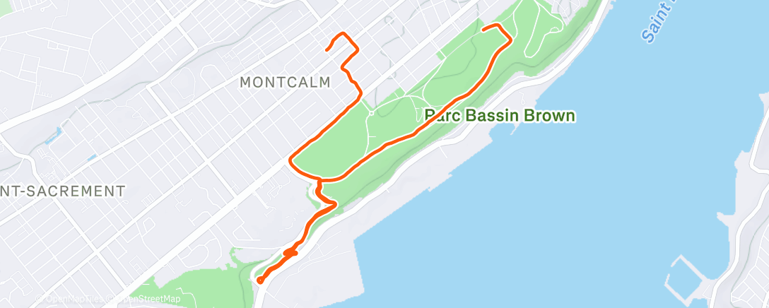 Карта физической активности (Afternoon Run)