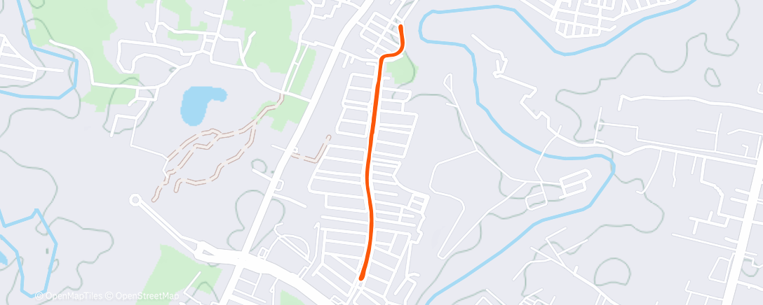 Карта физической активности (Morning Run)