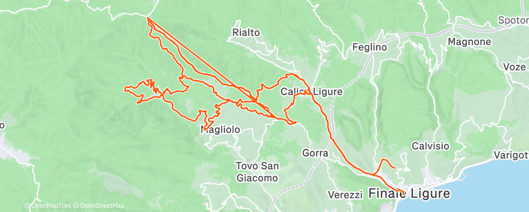 Карта физической активности (Morning Ride)