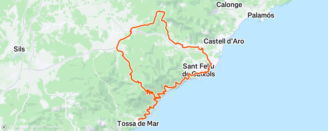 Map of the activity, Morning Ride