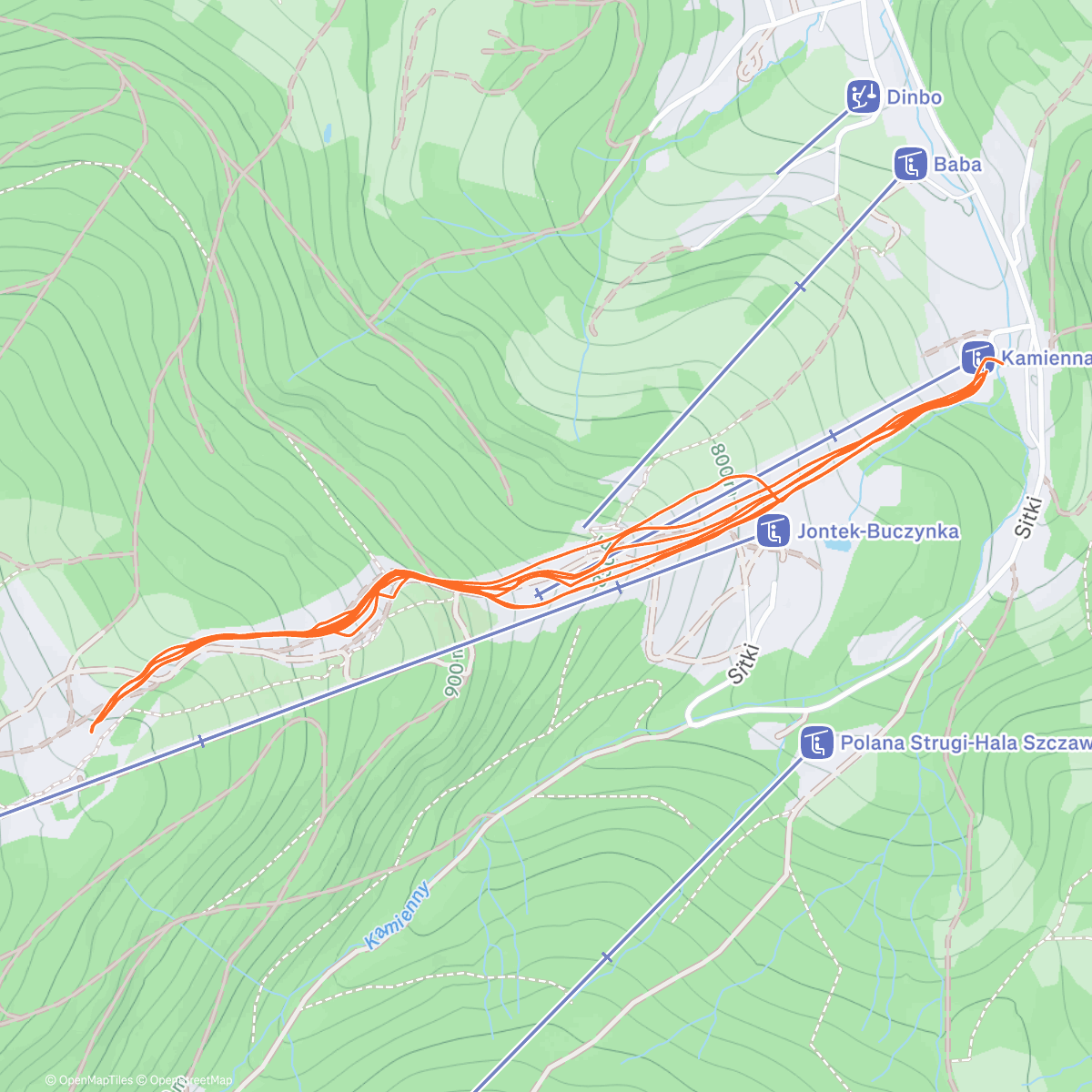 Карта физической активности (Afternoon Backcountry Ski)