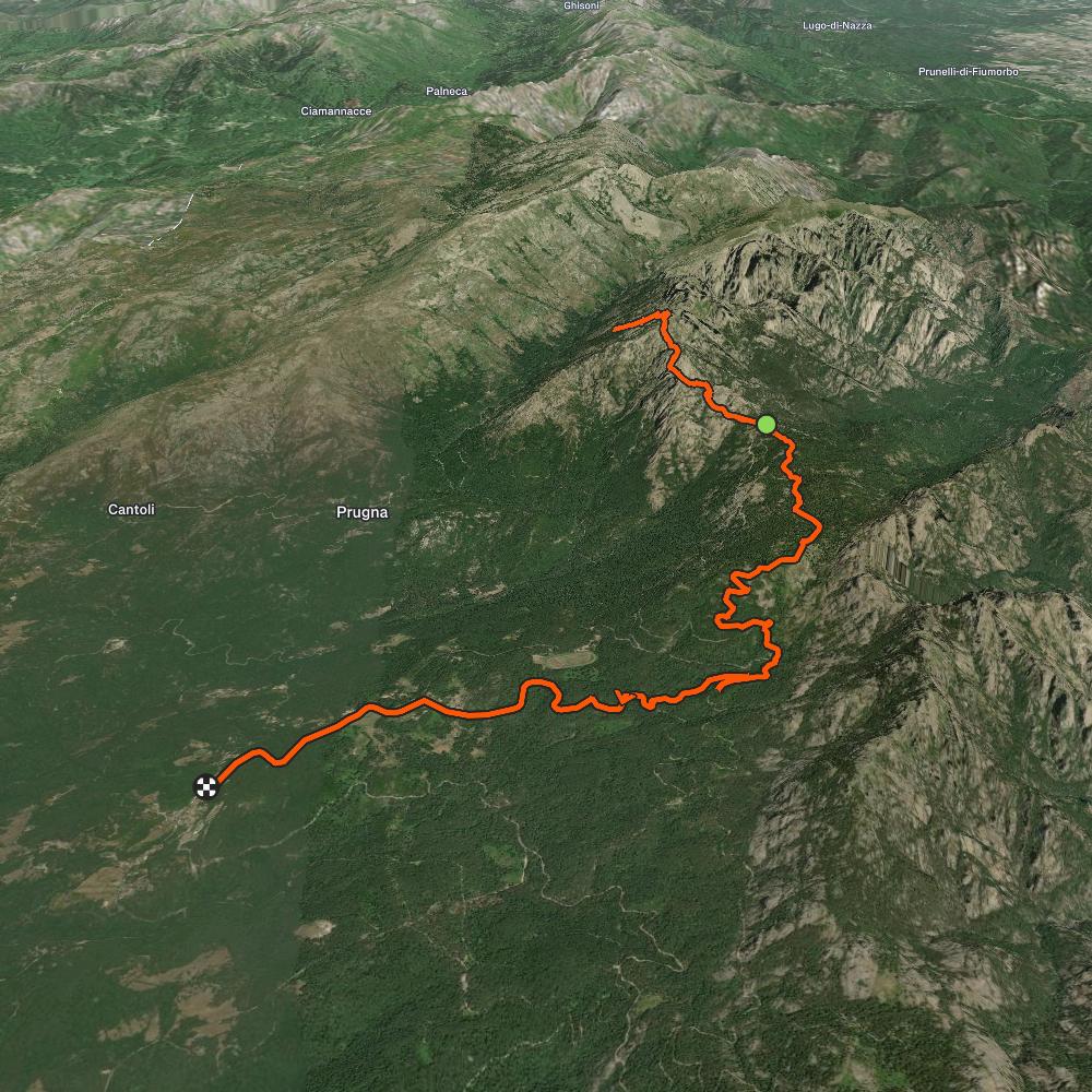 Map of the activity