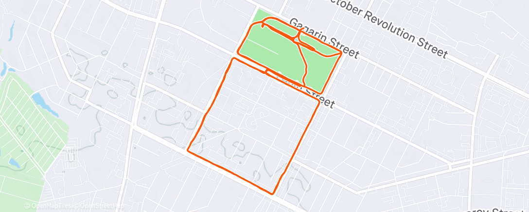 Карта физической активности (Evening Run)