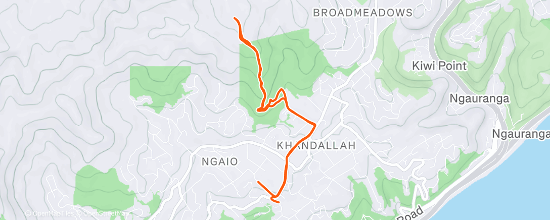 Map of the activity, Morning Run