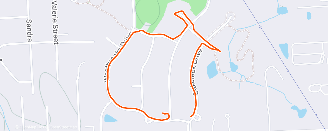 Map of the activity, Evening Walk