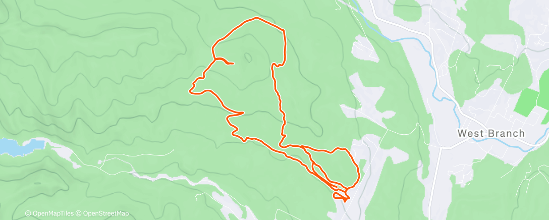 Mapa de la actividad (Trapps)