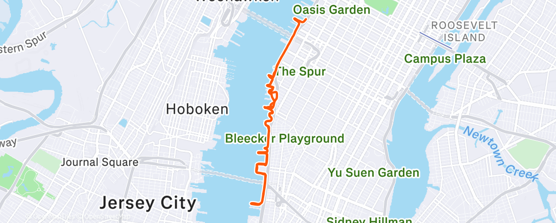 Map of the activity, Morning Run