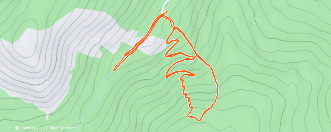 Карта физической активности (Трейлраннинг (вечер))