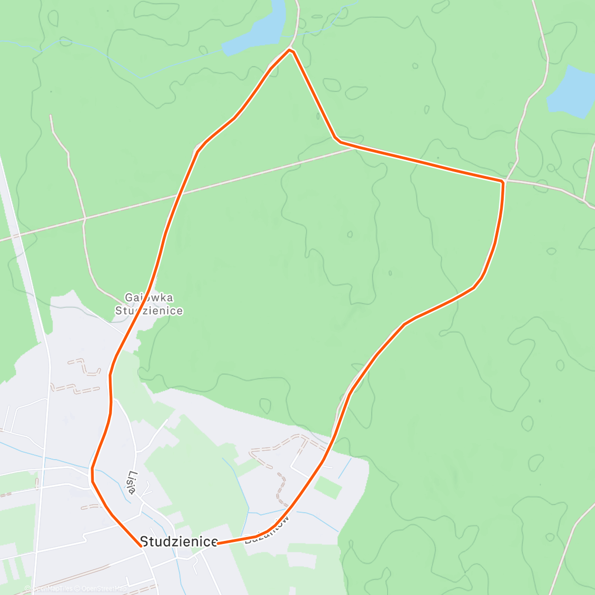 Map of the activity, Ostatnia w tym roku jazda. Bieg sylwestrowy Aktywna Pszczyna