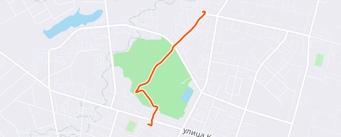 Map of the activity, Утренний забег