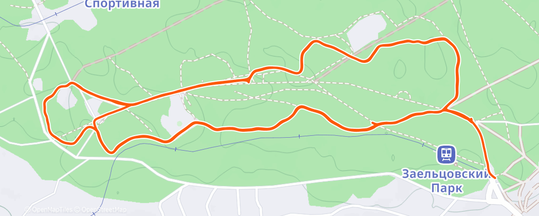 Карта физической активности (Утренний забег)