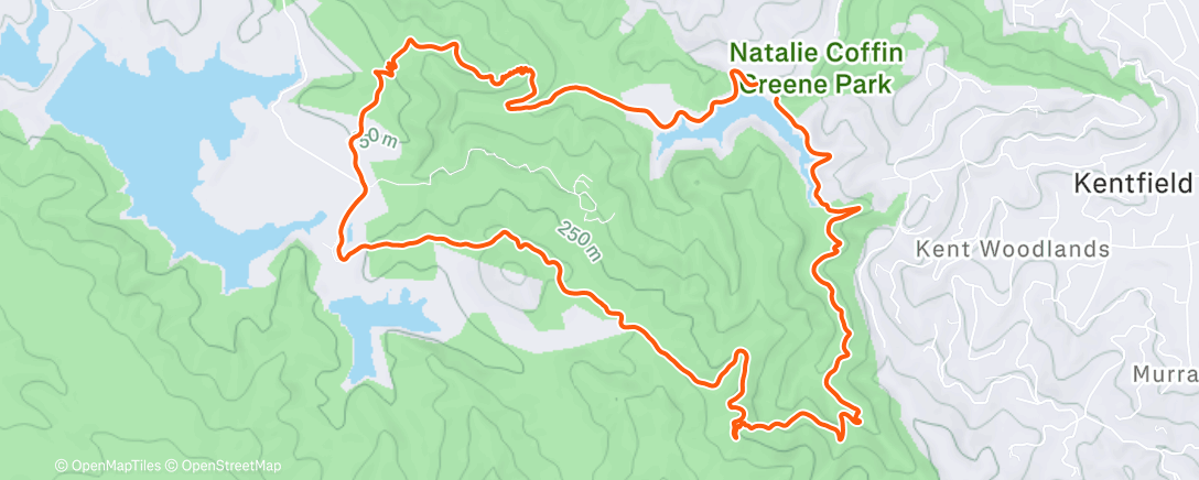 Map of the activity, Morning Run