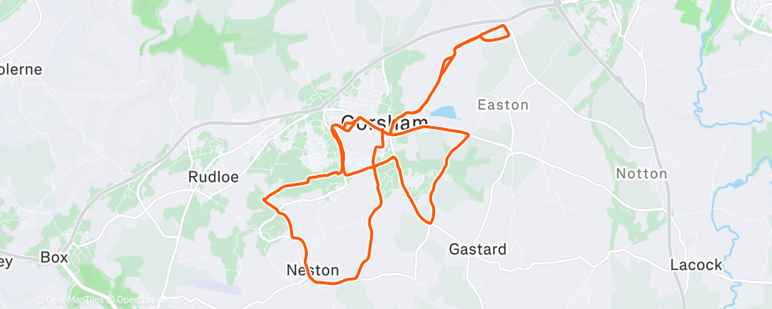 Map of the activity, Morning Trail Run