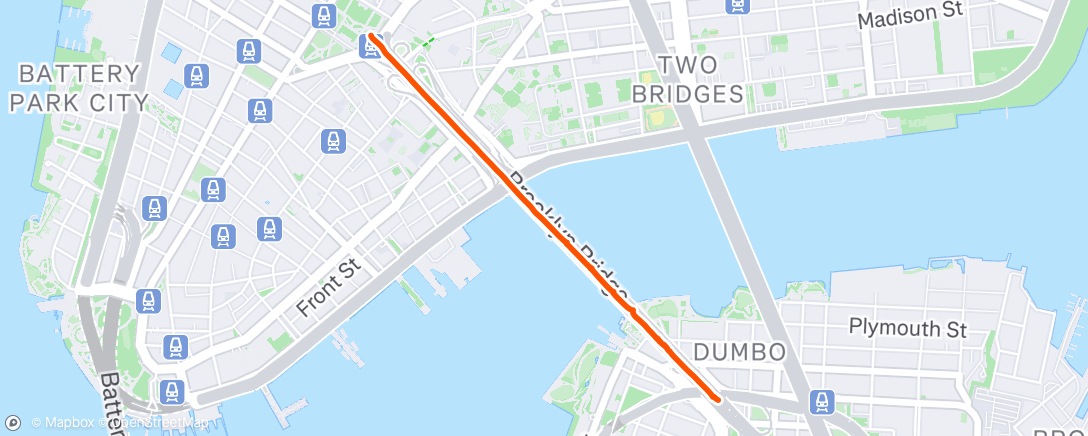 Map of the activity, Brooklyn Bridge Walk