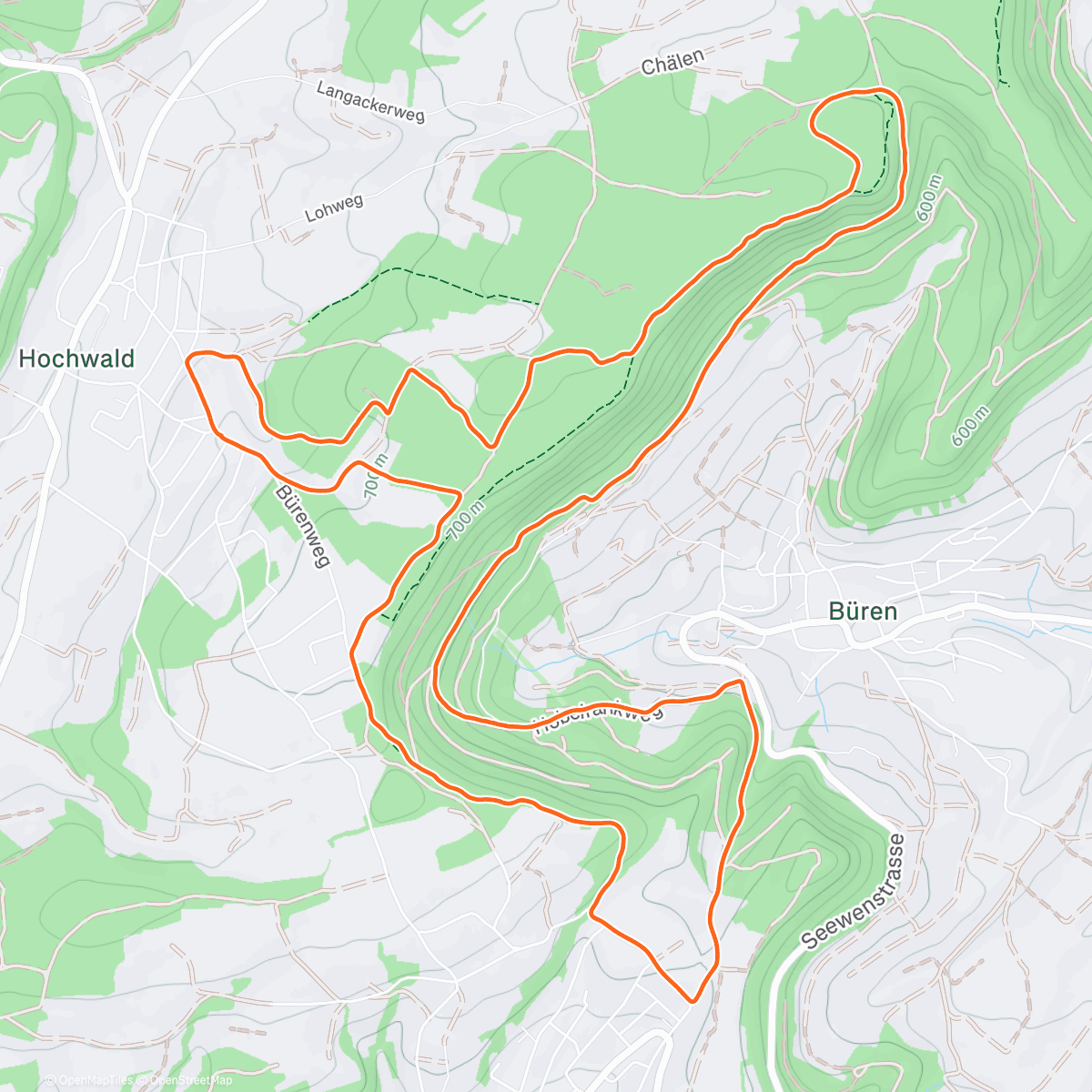 Map of the activity, Seewen-Hobelrank Trail #vegantrailrunner
