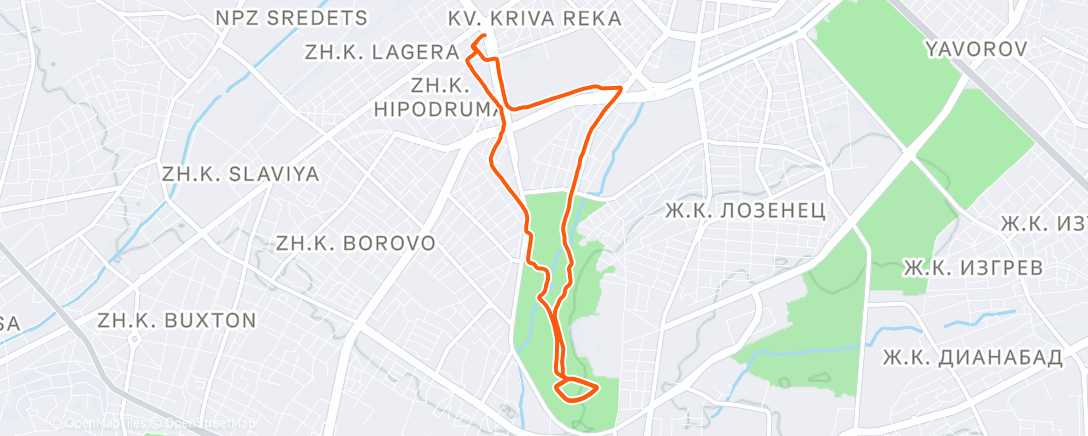 Map of the activity, Morning Run