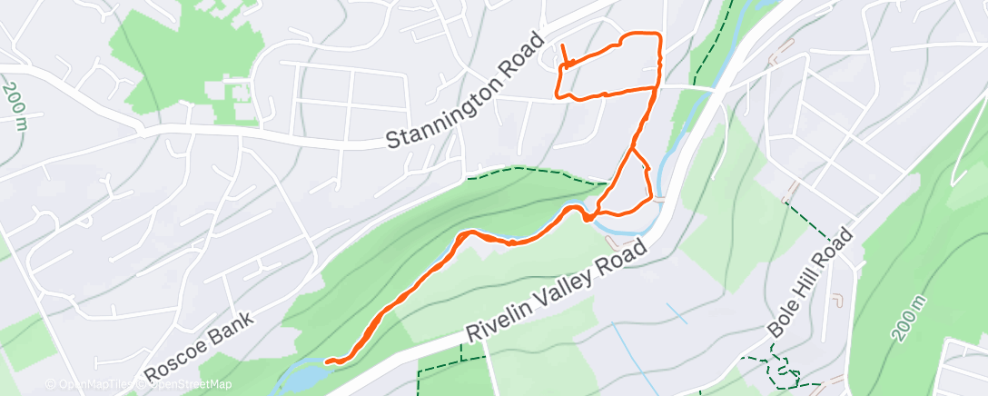 Карта физической активности (Afternoon Walk)