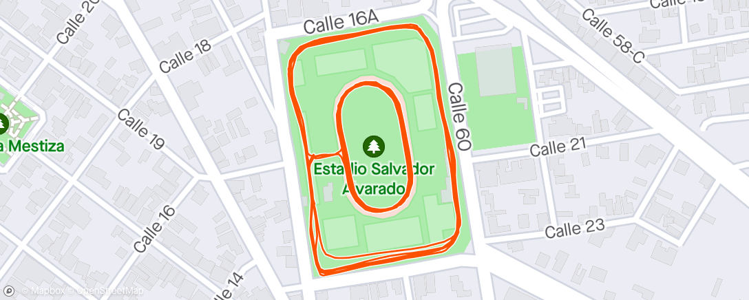 Map of the activity, Estadio Alvarado (with 10 x 30” pick ups)