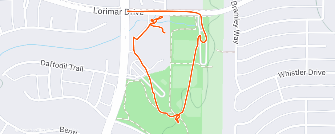 Карта физической активности (Afternoon Walk)