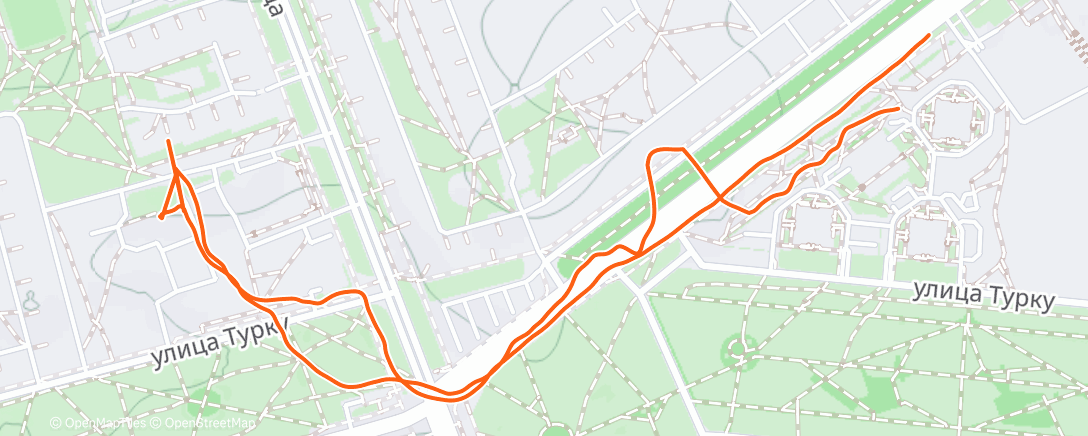 Карта физической активности (Morning Walk)