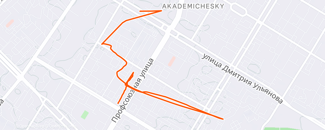 Карта физической активности (Morning Run)