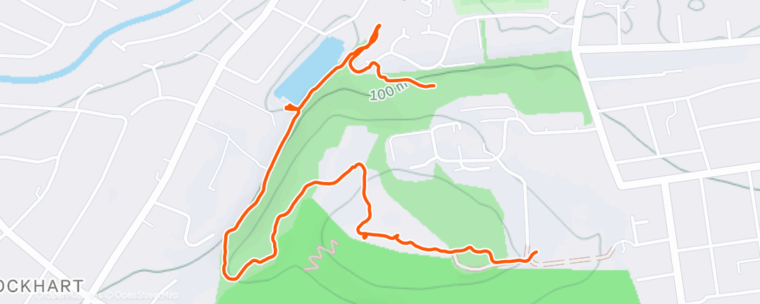 Карта физической активности (Afternoon Walk)