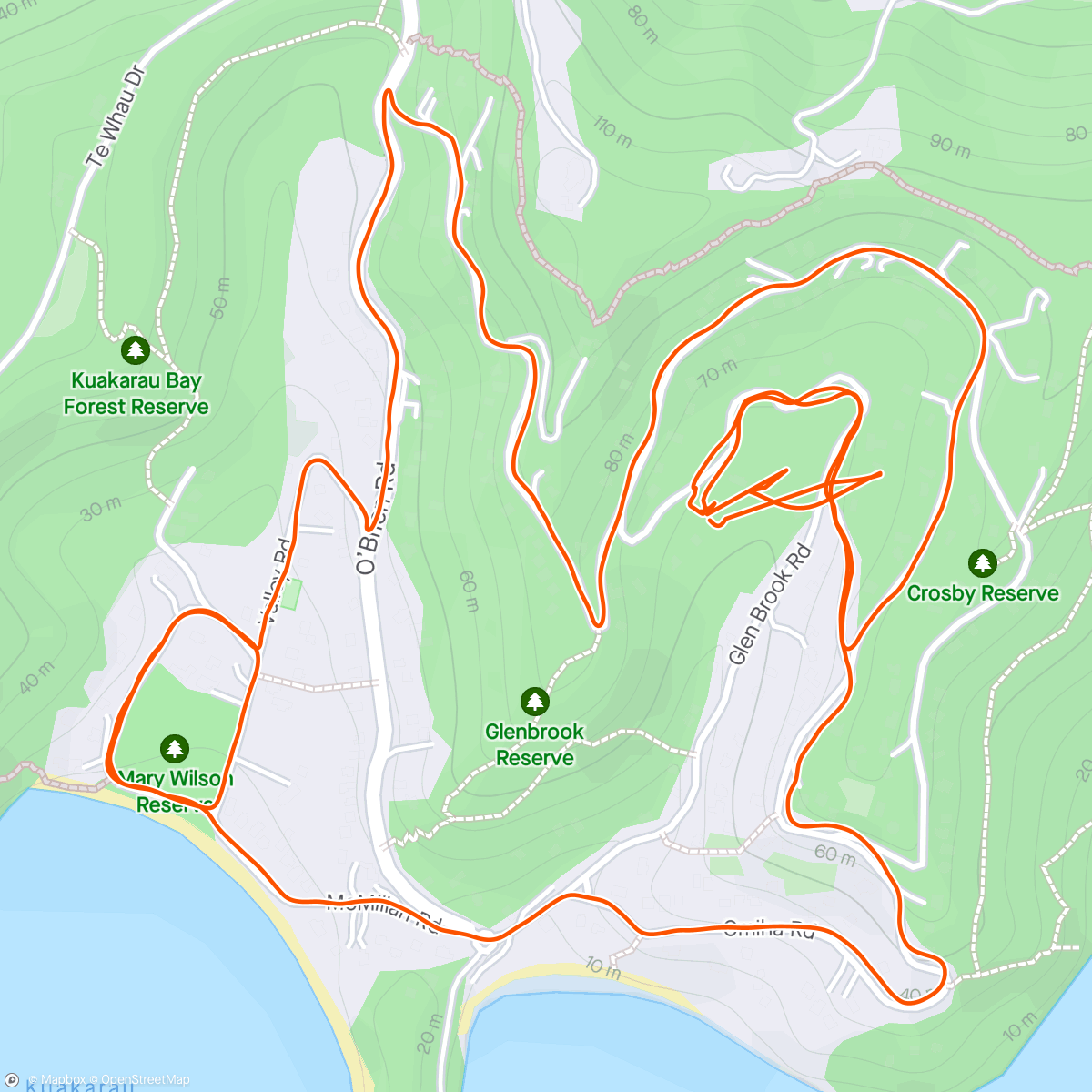 Map of the activity, Local loop under 6 minute kms