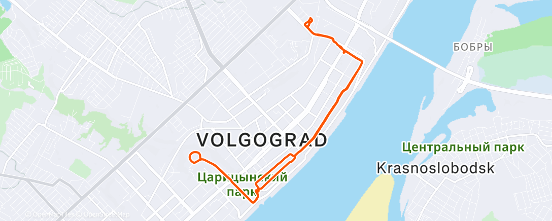 Карта физической активности (Morning Run)