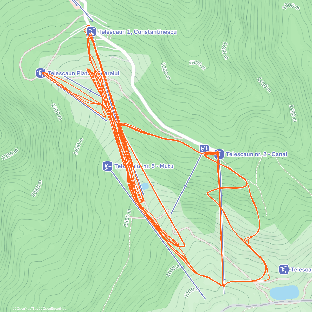 Map of the activity, Schi