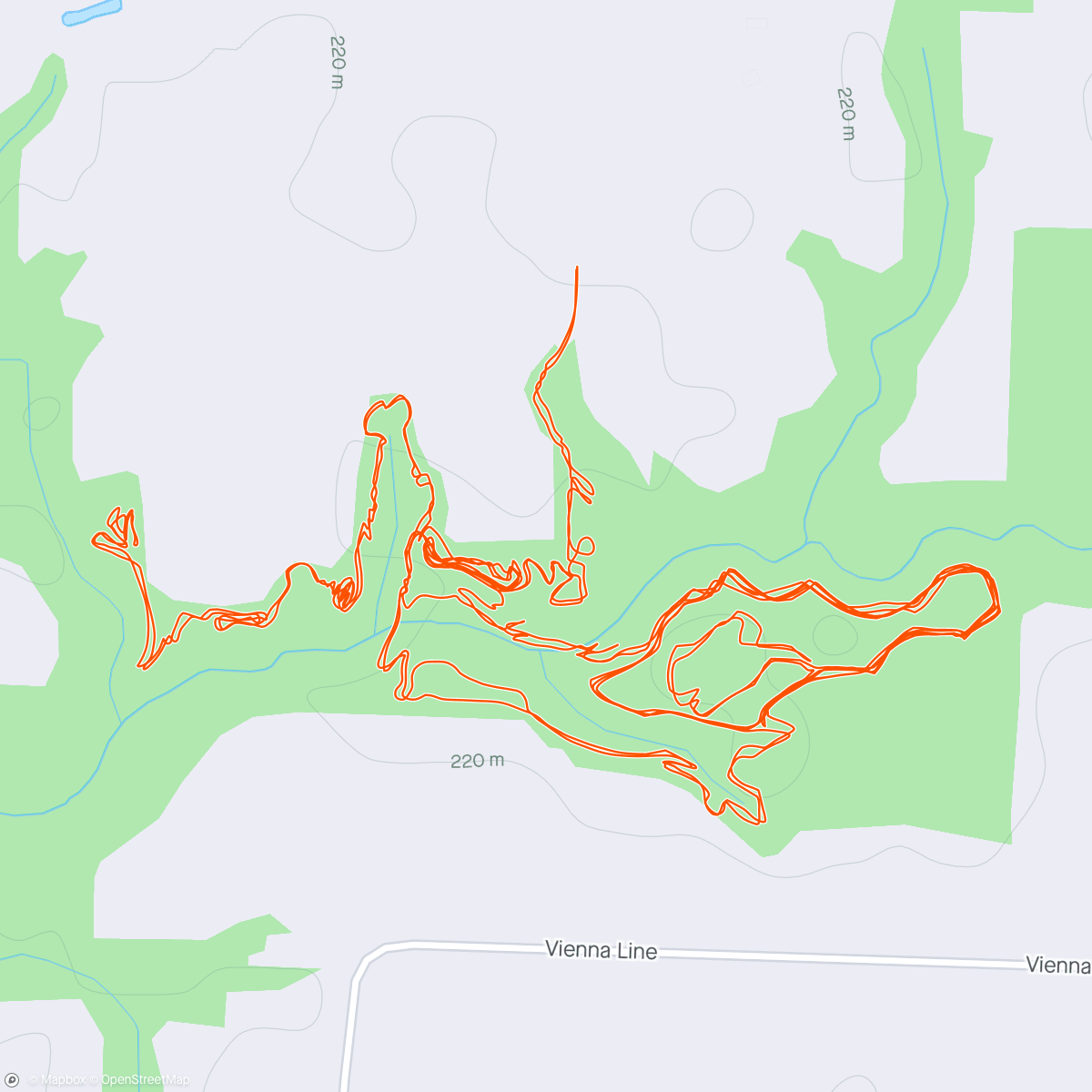 Map of the activity, Tree cleared and trails are perfect