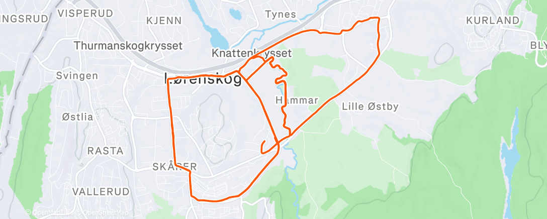 Map of the activity, Morning Run