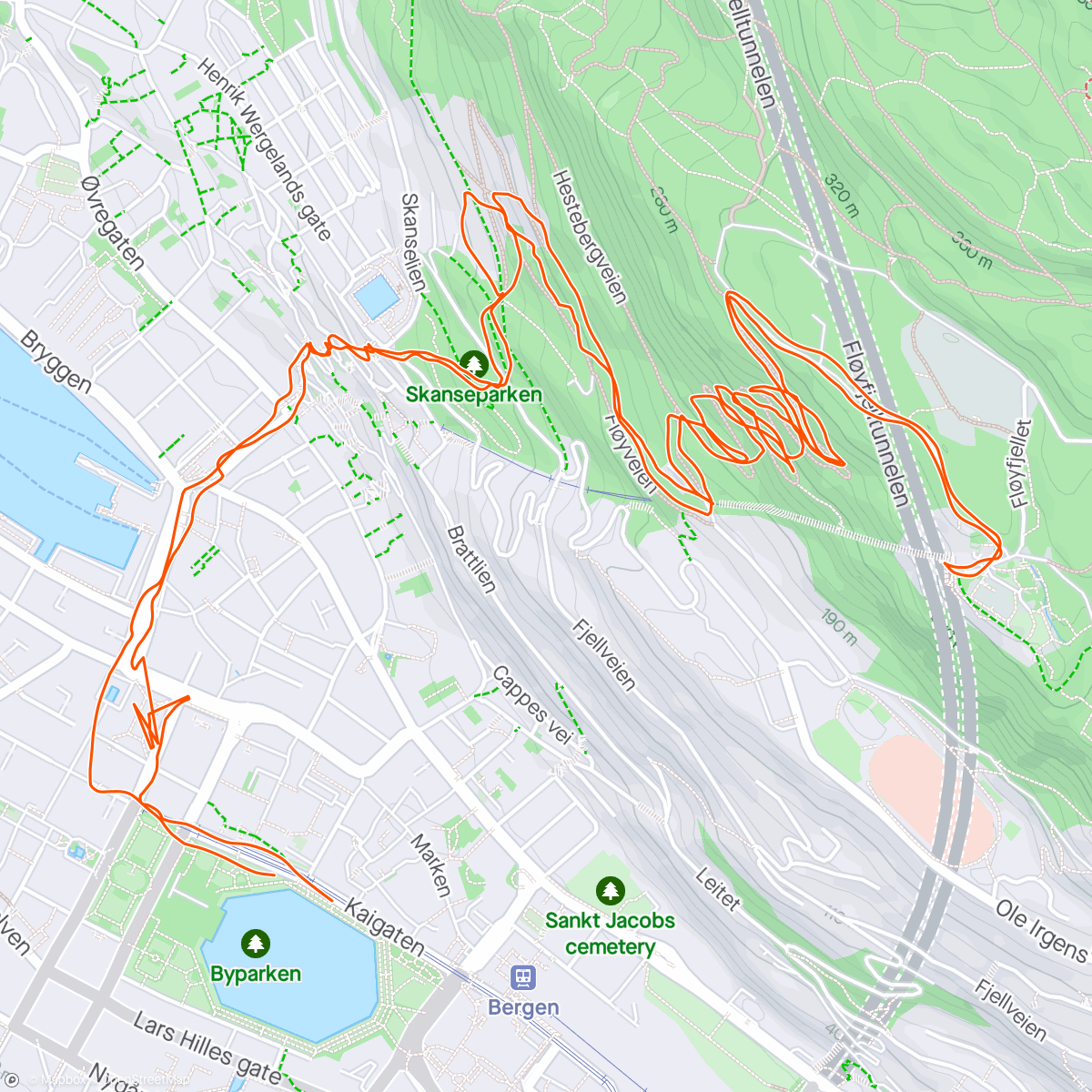 Map of the activity, Fløyentur