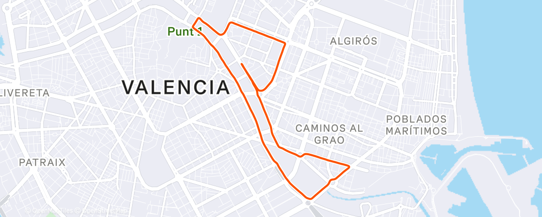 Map of the activity, 10k Valencia