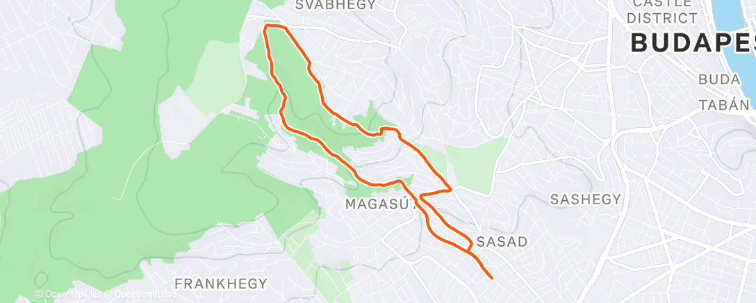 Карта физической активности (Morning Run)