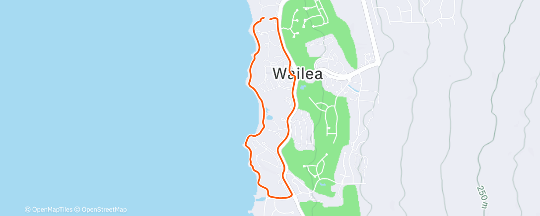 Map of the activity, Maui 2025 Walk 2