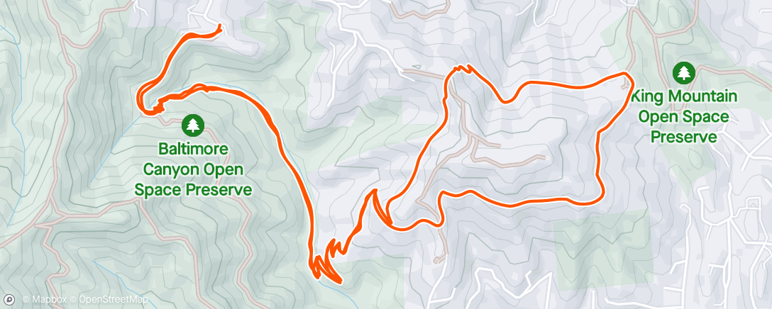 「Dawn Falls Ladybug King Mt Loop」活動的地圖